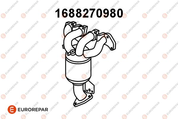 55564503