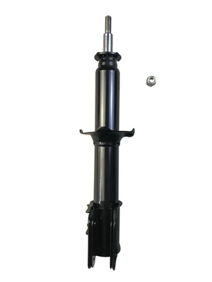 9250024