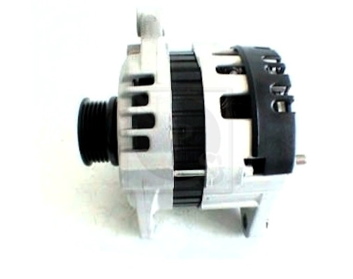 D511O06