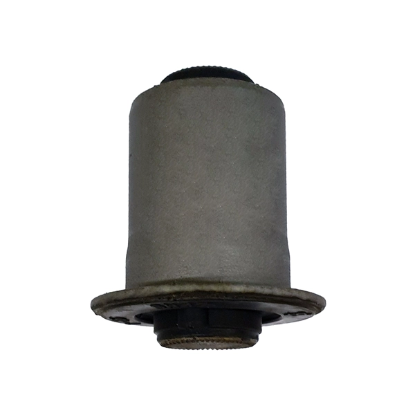 GV0555