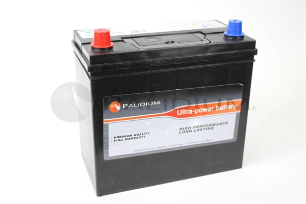 PAL11-0007