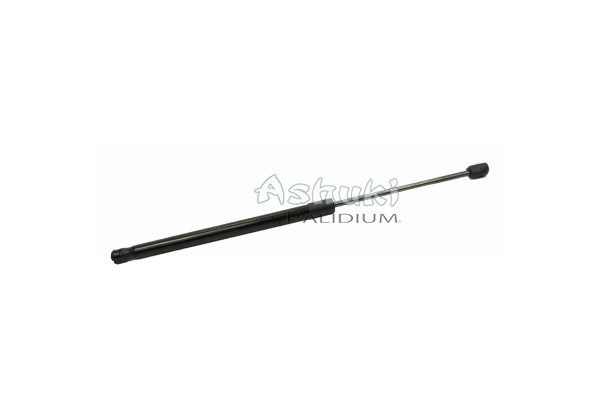 ASH21-0012