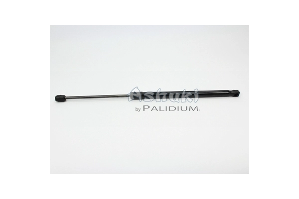 ASH21-0005