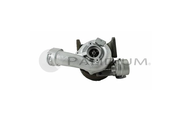 PAL20-0051