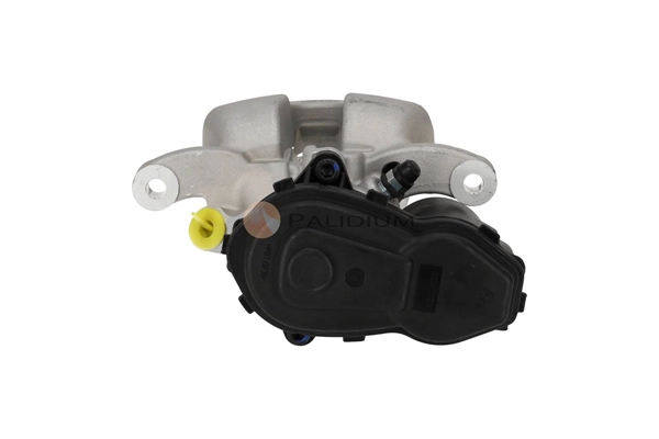 PAL4-3001