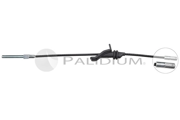 PAL3-1545