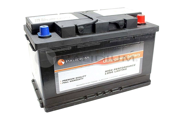PAL11-1003