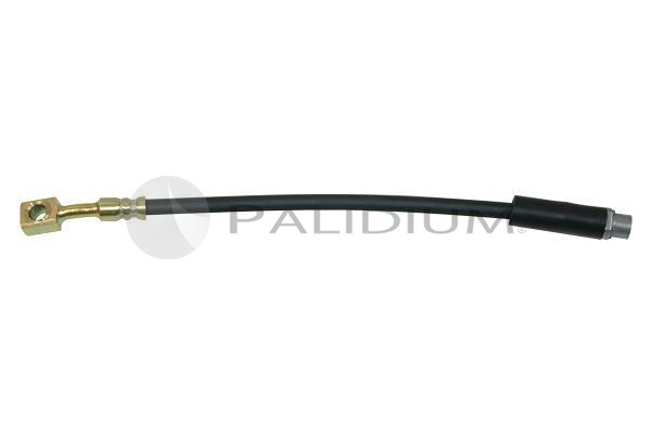 PAL3-0134