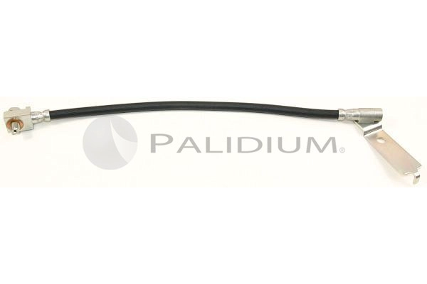 PAL3-0251