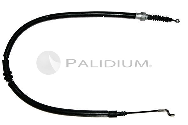 PAL3-1099