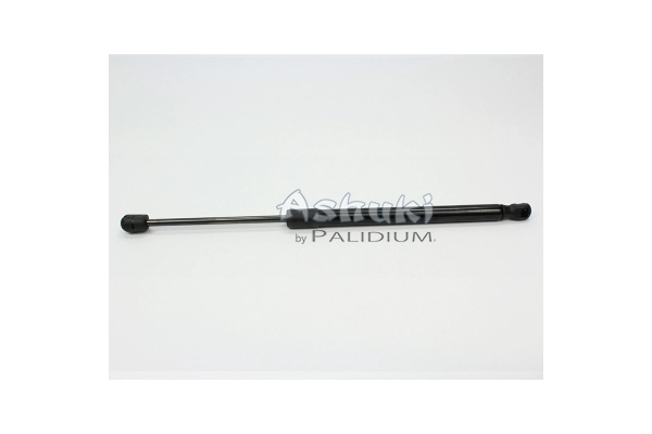 ASH21-0009