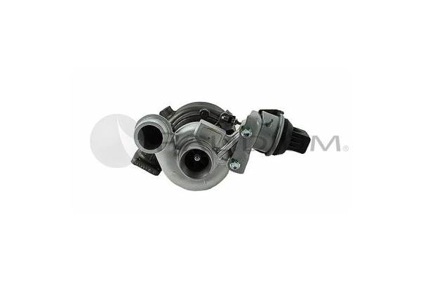 PAL20-0020