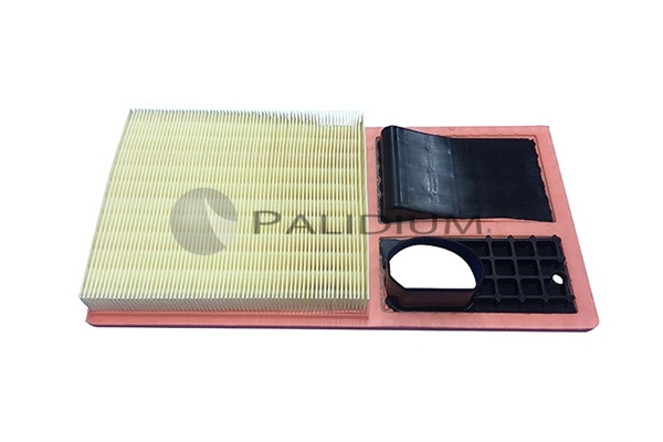 PAL2-2045