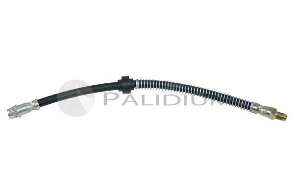 PAL3-0066