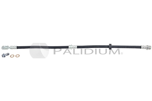 PAL3-0361
