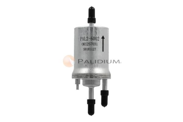 PAL2-6002