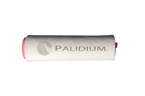 PAL2-2037