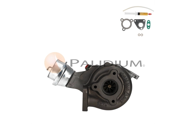 PAL20-0116