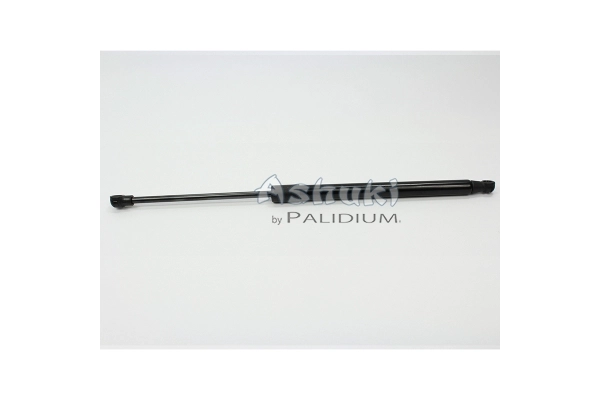 ASH21-0007