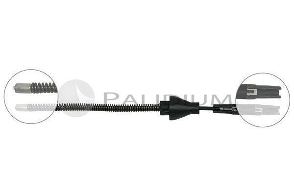 PAL3-1481