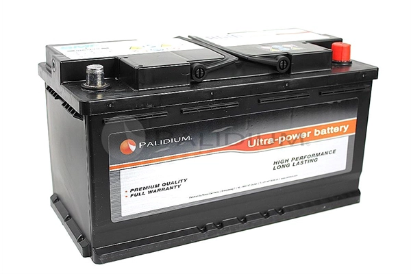 PAL11-2004