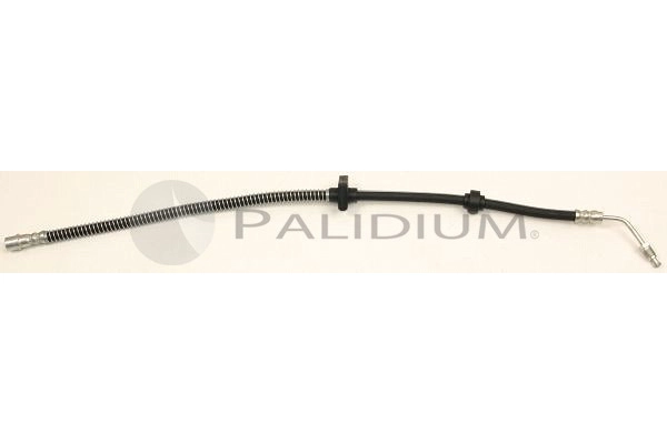 PAL3-0262