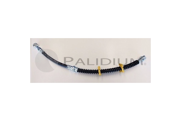 PAL3-0209