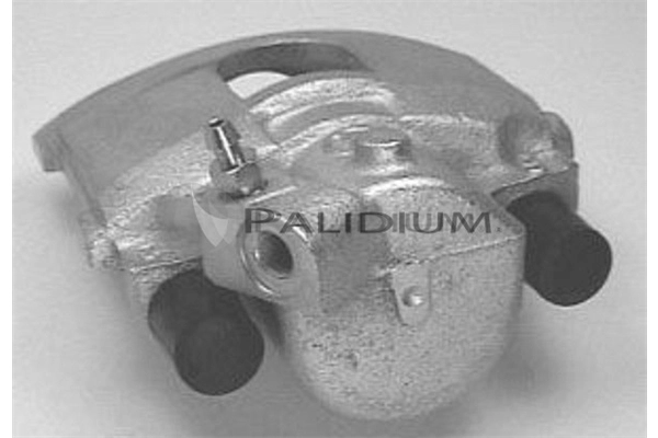 PAL4-1586