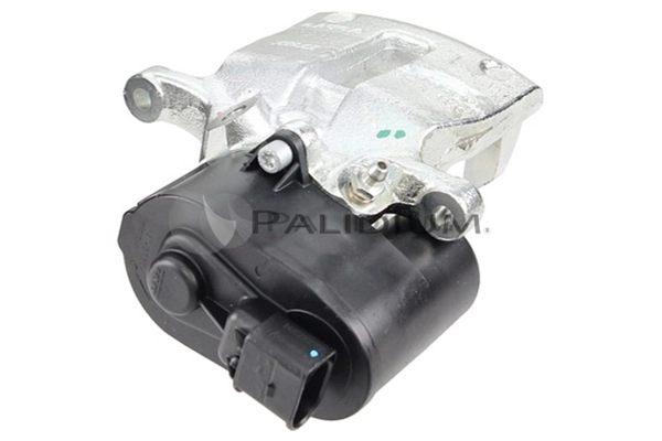 PAL4-1006