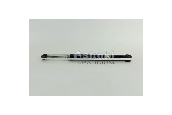 ASH9-0043