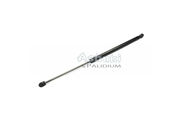 ASH21-0008
