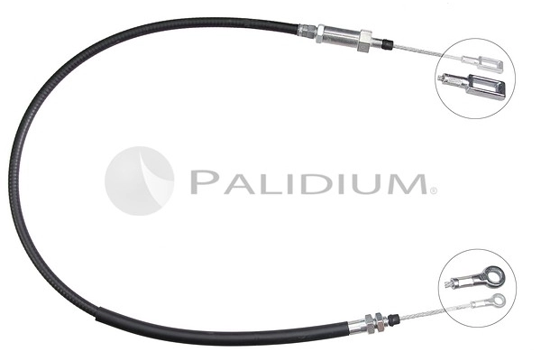 PAL3-1251