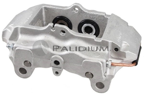PAL4-1558