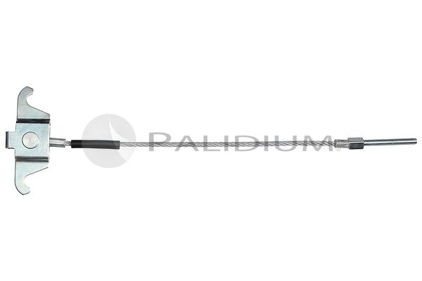 PAL3-1196