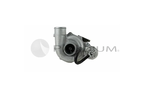 PAL20-0066