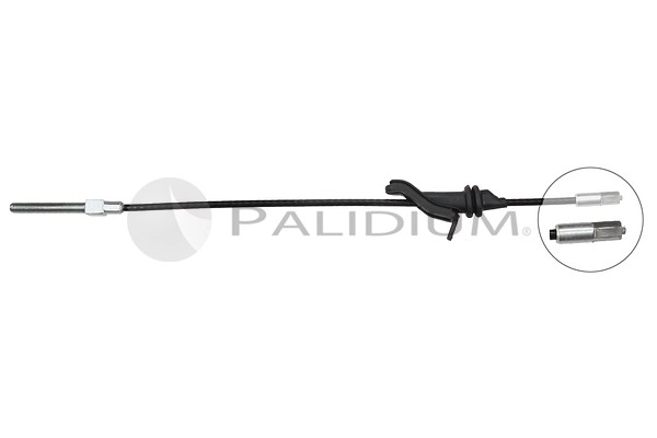 PAL3-1188