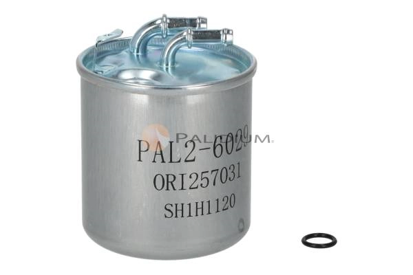 PAL2-6029