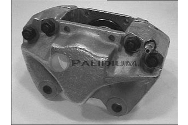 PAL4-1307