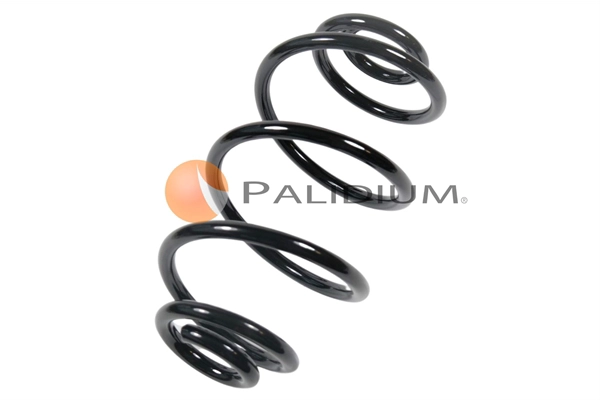 PAL10-1006