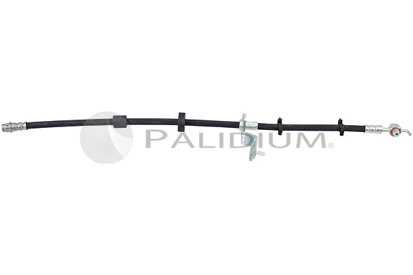 PAL3-0359