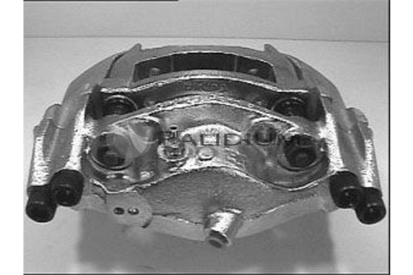 PAL4-1905