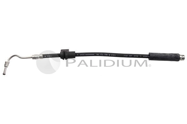 PAL3-0206