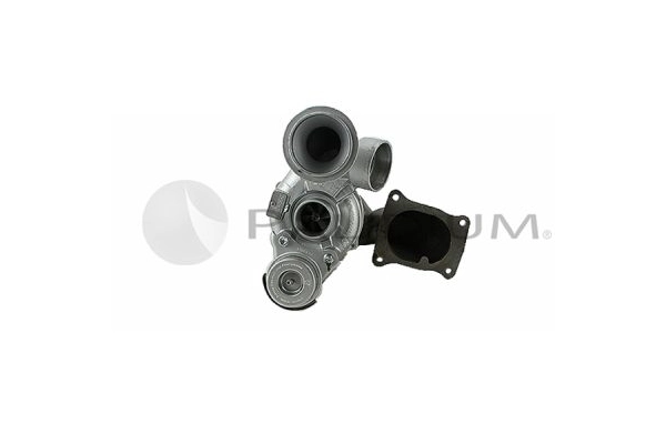 PAL20-0050