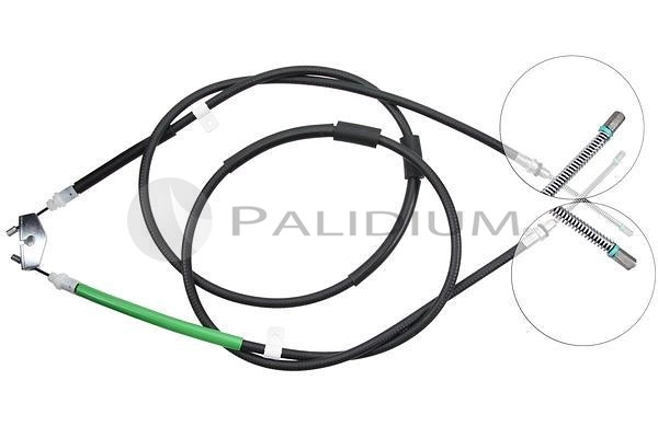 PAL3-1089
