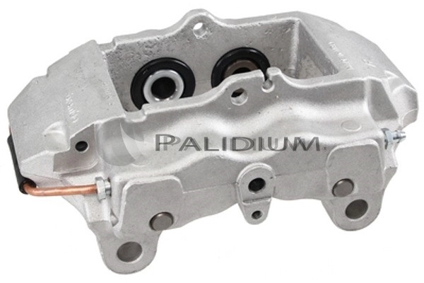 PAL4-1559