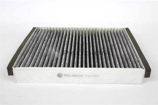 PAL2-4020