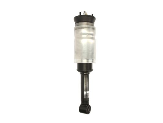 APL009MT
