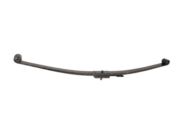 MLS-85009100