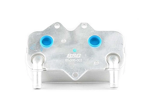 BSG 65-506-003