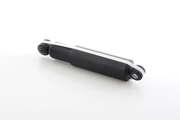 BSG 25-300-006